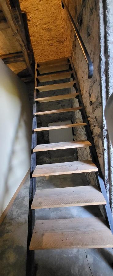 Appartement Cier de Riviere Les Cerfs Extérieur photo